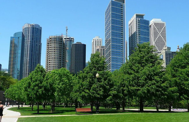 Bem-vindo a Chicago: excursão privada de meio dia com deck de observação 360 - Foto 3