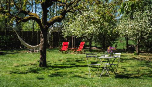 Ferienhaus Am Silberberg, Bad Saarow - Foto 2, Garden