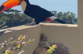 Casa de praia com vista para o mar - Foto 57