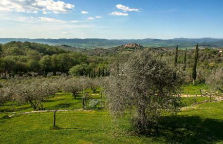 Az Agrituristica Bio Le Macchie Alte - Foto 11