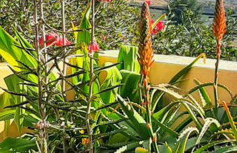 Casitas Tabayesco - Foto 21