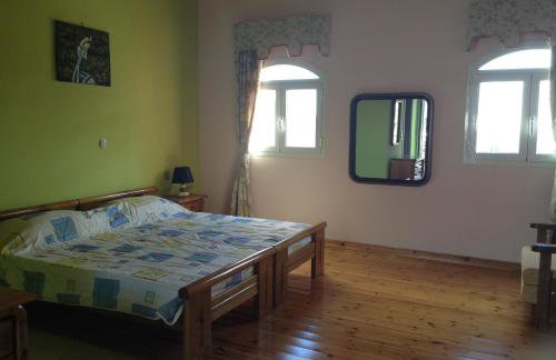 Dogis Retreat - Foto 24