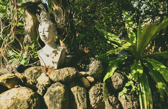 Surf N Sun - Foto 23