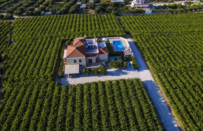 Cretan Vineyard Hill Villa Private Pool, Panoramic View, Beautiful Vineyard - Photo 36