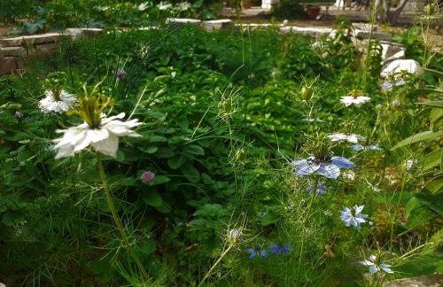 Apartmani Milena - Foto 60