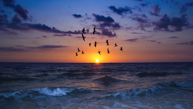 Ausstattung der Unterkunft