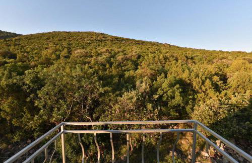 Apartmani Marko - Foto 74