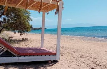 Margarita House - Photo 55