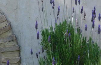 LIORIZA Country Houses - Foto 60