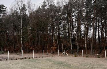 Przedświt - Foto 36