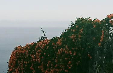 Finca rural House Tenerife Relax And Enjoy - Foto 60