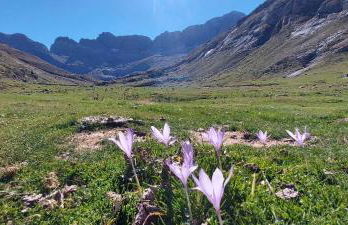 Appartement TROUMOUSE Résidence Les 3 Cirques - Foto 33
