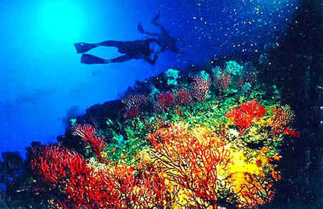 Residence Cormoran, Loc. Campus Villasimius - Foto 21