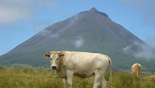 Casa da Abrótea - Photo 4