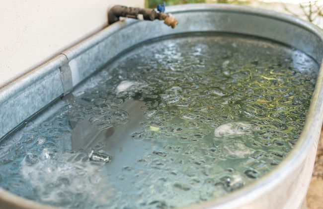 NEW The Palo Verde Experience Zen-inspired Resort Oasis - Foto 25