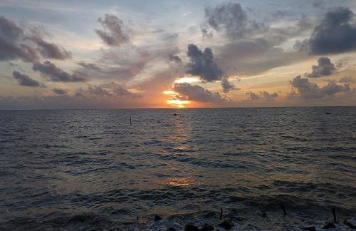 casa ampla com PISCINA e área verde em São José ao lado de Maragogi - Foto 46