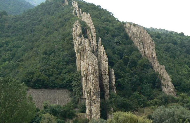 Dream House - Photo 19