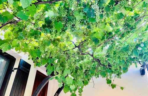 Elgi Cottage - Foto 15