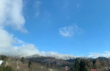 AGROTURYSTYKA DOR-Ali u Ali - Foto 20