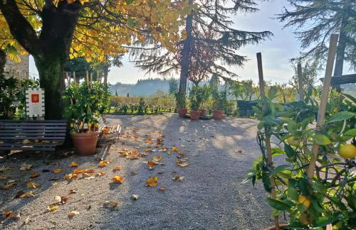 Il Casale Del Cotone - Foto 3