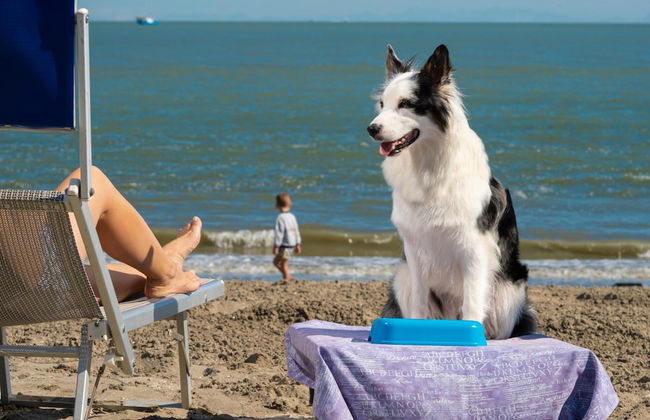 Albarella Maisonette S3M 1 - Foto 29