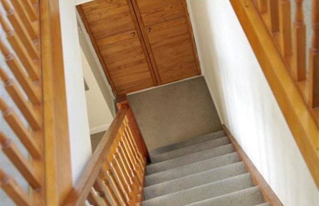 Green Door - Marigold - Foto 7