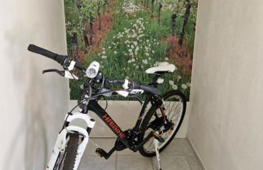 Familie Jonas - Foto 22