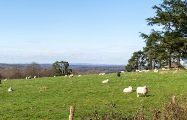 Large Country House in Ashdown Forest - Foto 46