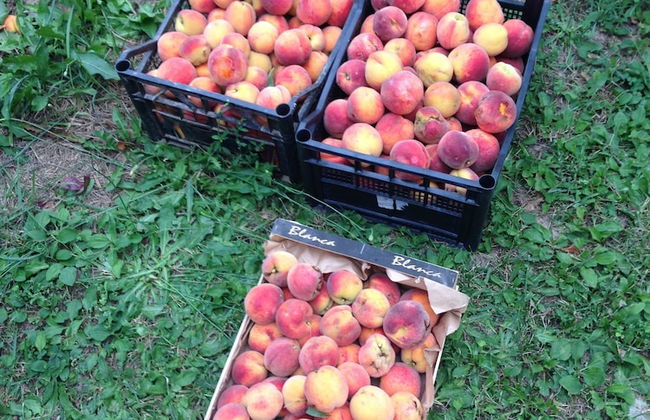 Agriturismo Isorella - Foto 32