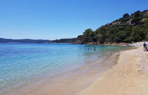 La fossette - Foto 22