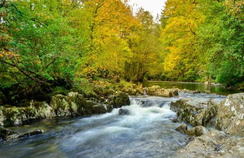 Finest Retreats - Bod Gwynedd - Foto 29