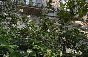 Casa Grande de Láncara - Foto 31