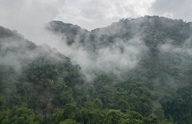 Mountain & Theme Park Views' Cozy Suite - Foto 57