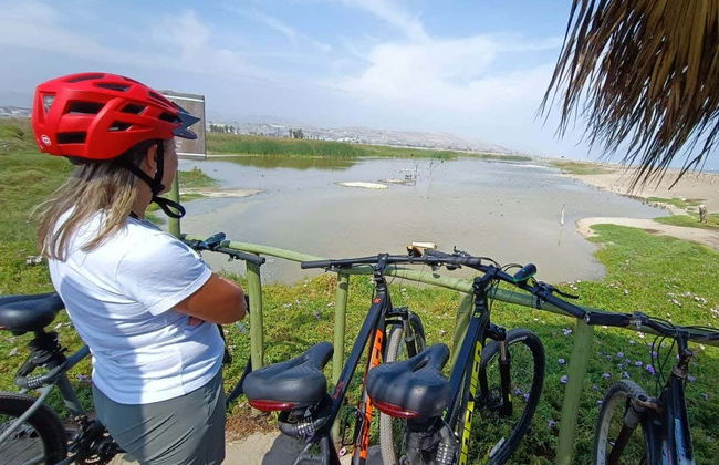Balade à vélo à travers Miraflores et Barranco + Visite de Los Pantanos de Villa - Photo 8
