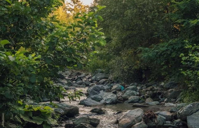 Mila Garden Villas & Bungalows - Foto 55