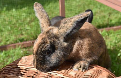 Biohof Seifert - Foto 4