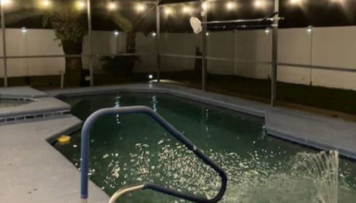 Birds and Blossoms Oasis - Close to Theme Parks - Foto 5