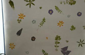 Little Linney - Sleeps 2 - Garden - Wifi - Parking - Photo 47