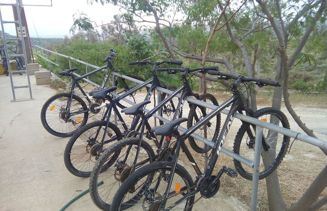 Foivos and Athina Villas - Foto 30