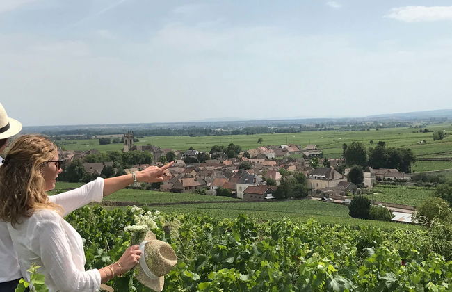 Tour del vino de Borgoña - Foto 1