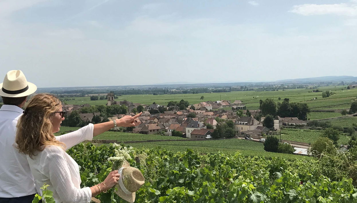 Tour del vino de Borgoña