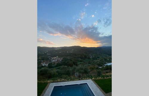 Laserrafelice - Photo 26