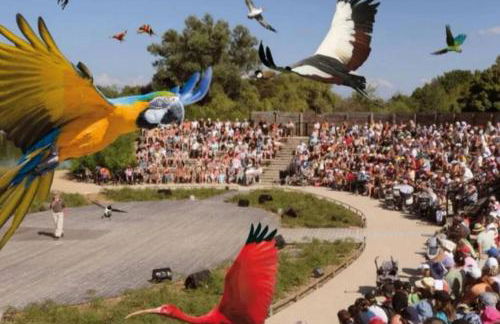 Spa-Sauna-Ciel de pluie tropicale-Champagne Nuit Romantique - Escapade Mâconnaise - Foto 71