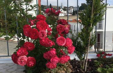 adubai Obidos - Foto 23