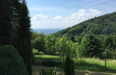 Dachstudio in Traumlage mit spektakulärem Ausblick - Foto 33