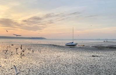 Lilliput Hideaway 5 mins from Sandbanks Beach - Photo 24