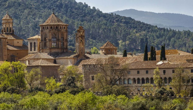 Poblet Monastery Tour - Foto 4
