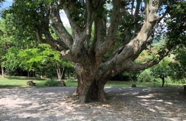 Le Vieux Moulin - Foto 65