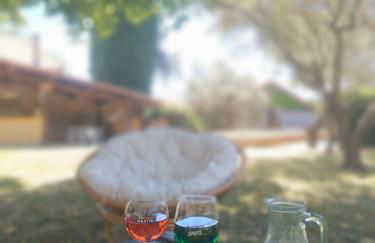 Villa Les Oliviers - Foto 27