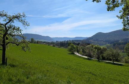 Tourenblick - Ferienwohnung an den drei Kaiserbergen - Foto 23